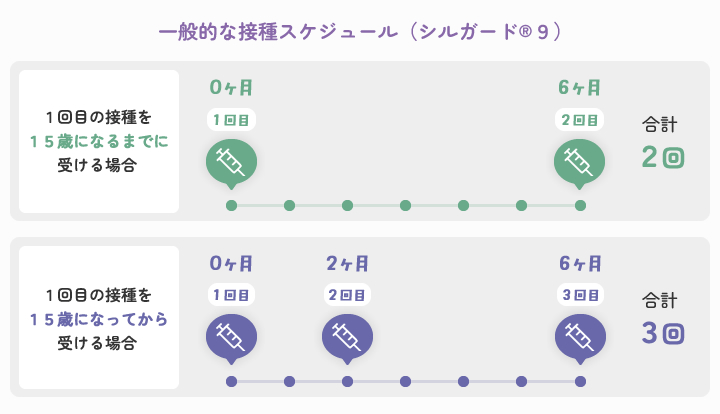 一般的な接種スケジュール　シルガード９