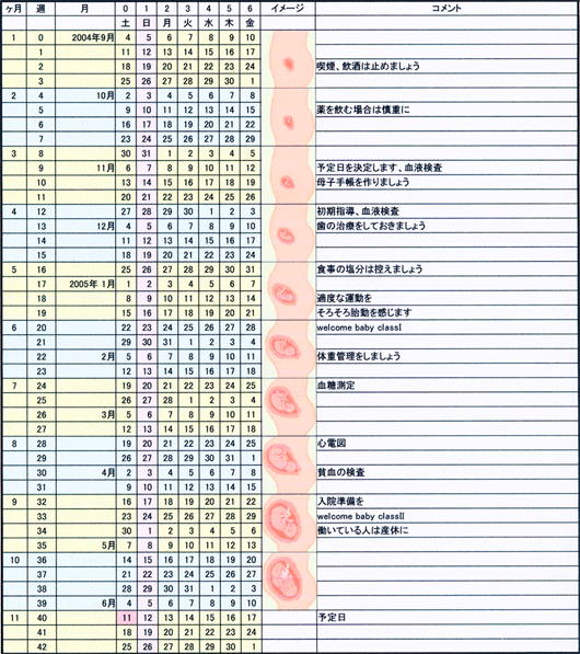 妊娠カレンダー